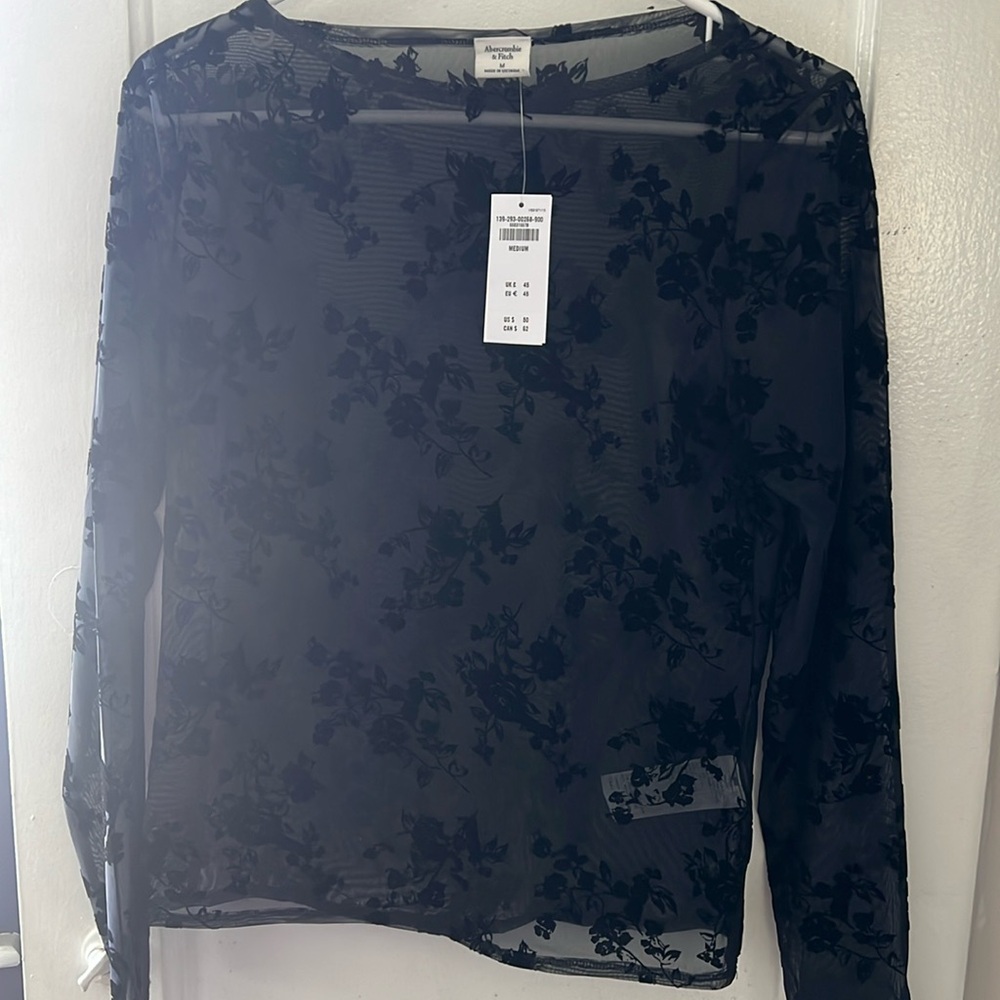 Abercrombie Sheer Long sleeve